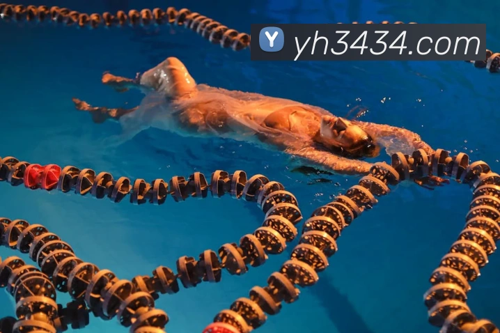 澳门银河娱乐网站发展历程
